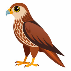 Simple Marsh Harrier Illustration