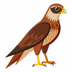 Simple Marsh Harrier Illustration