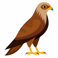 Simple Marsh Harrier Illustration