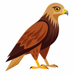 Simple Marsh Harrier Illustration