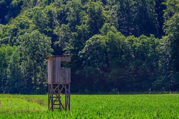 Wooden hunting tower stands in a lush green field surrounded by dense forest on a sunny day in...
