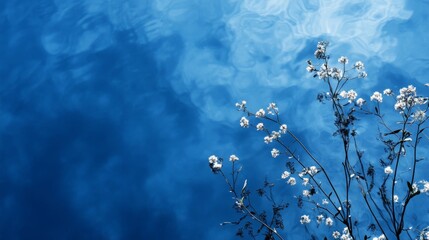 Delicate White Flowers Reflect on a Serene Blue Water Surface Creating a Tranquil Natural Composition in a Peaceful Outdoor Setting