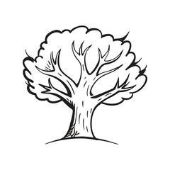 Oak Tree Hand Drawn Doodle Vector Illustration – Nature Sketch, Forest Plant, Botanical Art, Vintage Design

