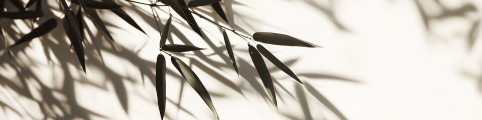 Bamboo Leaves Creating Intricate Shadows on a Light Backdrop in a Serene Outdoor Setting During a Bright Afternoon