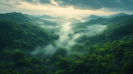 Misty Sunrise Over Lush Green Hills and Valleys With Soft Clouds Floating Above in a Tranquil Landscape