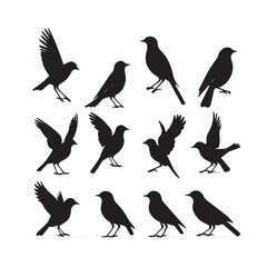 Obraz premium Twelve bird silhouettes in various poses