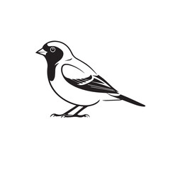 Fototapeta premium Black and white illustration of a small bird