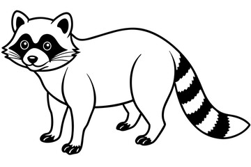 Raccoon vector illustration and white background
