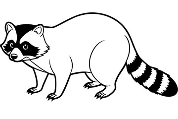 Raccoon vector illustration and white background