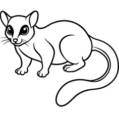 Minimalist Sugar Glider Line Art Illustration