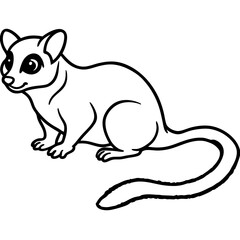 Minimalist Sugar Glider Line Art Illustration