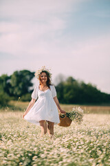 Daisy Field Woman, Flowers Basket: Young woman harvests daisies in summer field to enjoy.