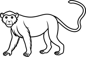 Proboscis Monkey – Clean Vector Outline