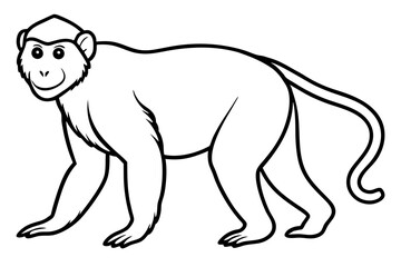Proboscis Monkey – Clean Vector Outline