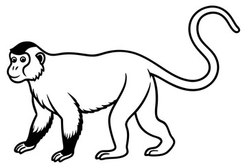 Proboscis Monkey – Clean Vector Outline