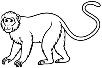 Proboscis Monkey – Clean Vector Outline