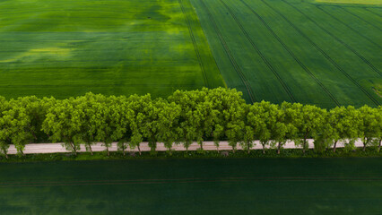 fields in Lithuanian countryside