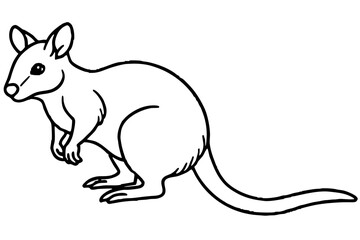 Pademelon Minimalist Line Art Vector