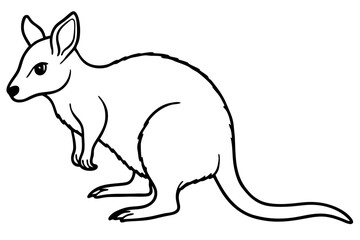 Pademelon Minimalist Line Art Vector