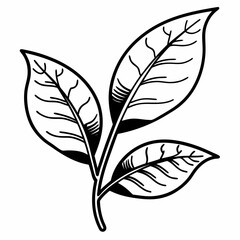 Obraz premium leaf vector