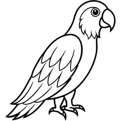 Parrot vector illustration line art and white background