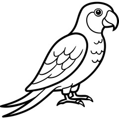 Parrot vector illustration line art and white background