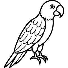 Parrot vector illustration line art and white background