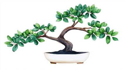 Fototapeta premium A beautiful bonsai tree showcasing intricate details and vibrant green leaves in a decorative pot.