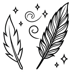 Obraz premium elegant feather collection