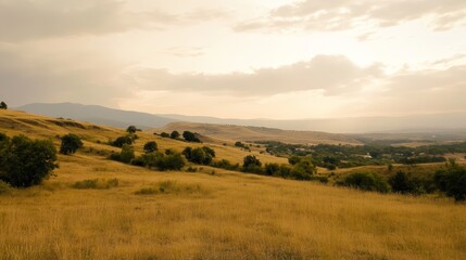 Fototapeta premium Golden Fields Stretch Across the Hillside Under a Cloudy Sky, Capturing the Tranquil Beauty of Nature at Sunset in a Rural Landscape