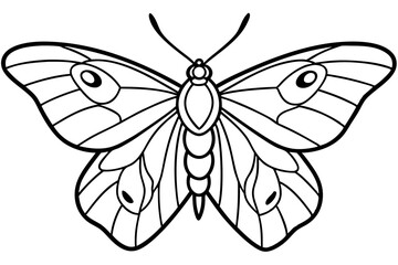 Opal Moth Line Drawing Illustration