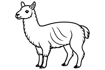 Paca Line Art Vector Design