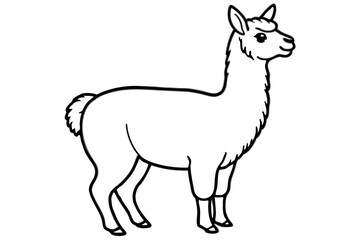 Paca Line Art Vector Design