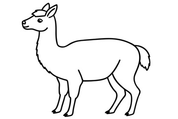 Paca Line Art Vector Design