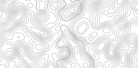Abstract topography wave lines pattern on white background, topographic contours map background, geographic contour map vector background, White paper curved reliefs for background.