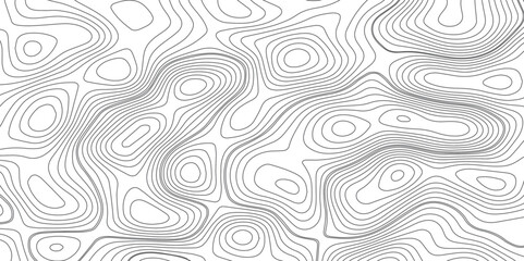 Abstract topography wave lines pattern on white background, topographic contours map background, geographic contour map vector background, White paper curved reliefs for background.