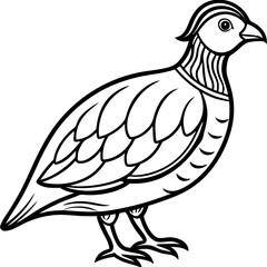 Minimalist Quail Vector Line Art