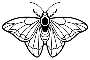 Sleek Opal Moth Vector Design
