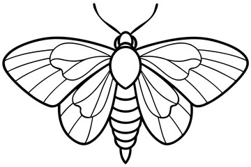 Sleek Opal Moth Vector Design