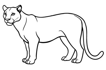 Minimalist Mountain Lion Vector
