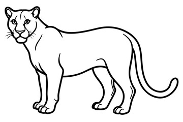 Minimalist Mountain Lion Vector