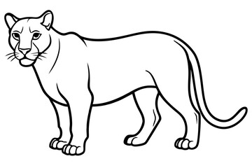 Elegant Cougar Line Drawing