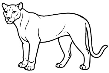 Elegant Cougar Line Drawing