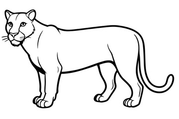 Elegant Cougar Line Drawing