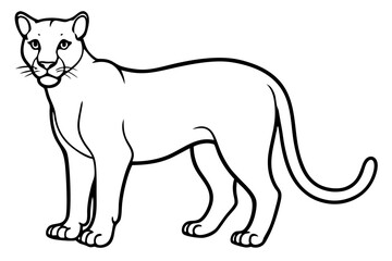 Elegant Cougar Line Drawing