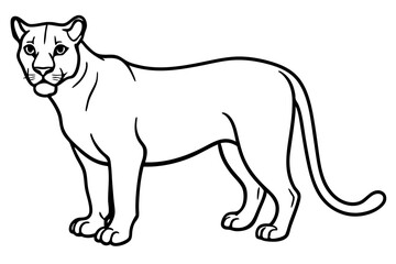 Elegant Cougar Line Drawing