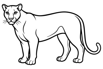 Elegant Cougar Line Drawing