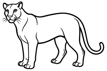 Elegant Cougar Line Drawing