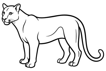 Elegant Cougar Line Drawing