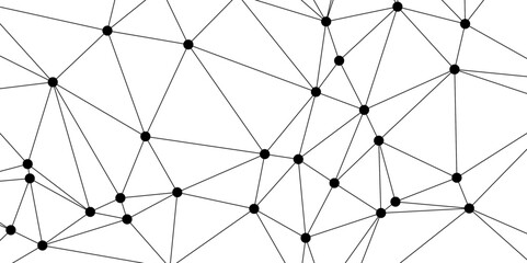 Fototapeta premium Abstract minimalistic black and white network pattern consisting of randomly connected black dots and thin straight lines. Data connections, abstract communication, and modern technology.